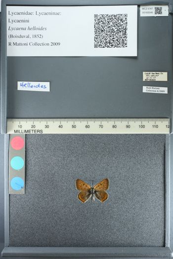 Media type: image;   Entomology 183546